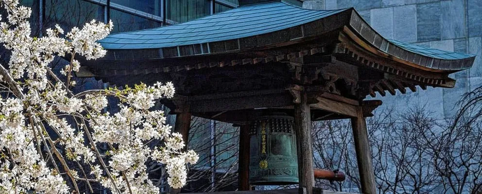 21 de septiembre, Día Internacional de la Paz