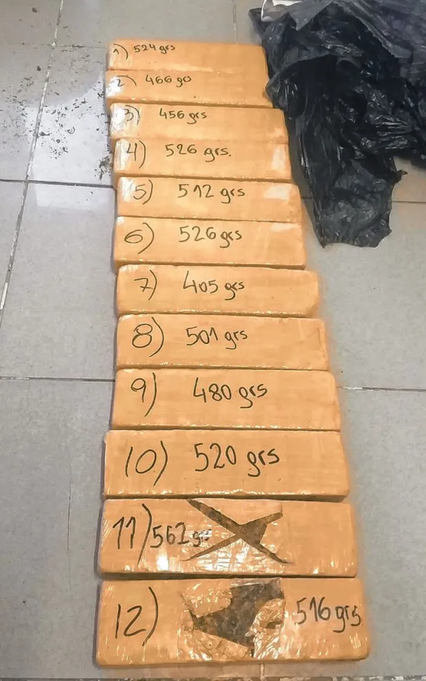 El juez indaga al joven detenido tras secuestro de encomienda con casi 10 kilos de droga en Trelew