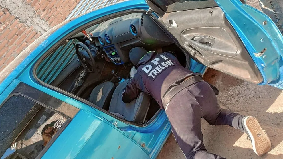 Incautaron arma ilegal y municiones en allanamiento por amenazas de muerte