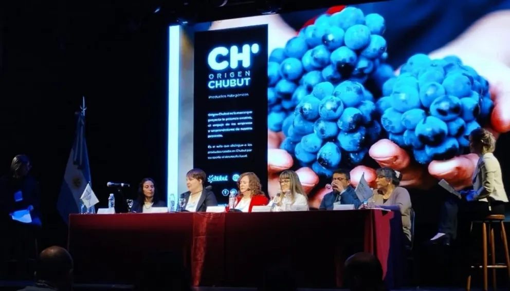 El gobierno provincial presentó los alcances del sello de distinción Origen Chubut en Neuquén