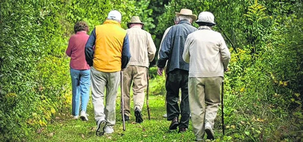 Procesos naturales de envejecimiento