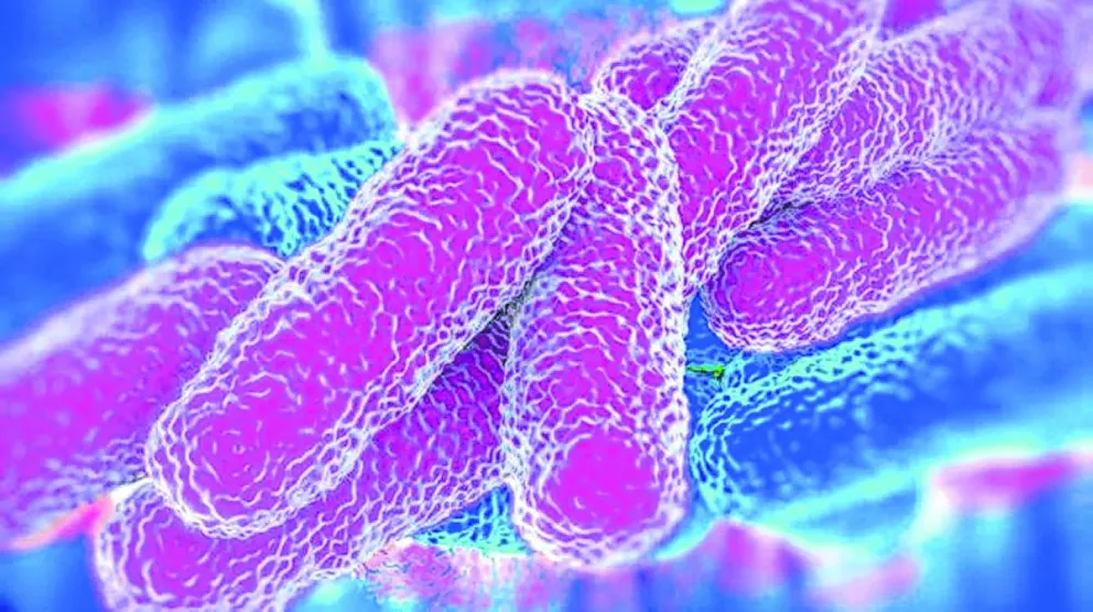 La enfermedad de los legionarios