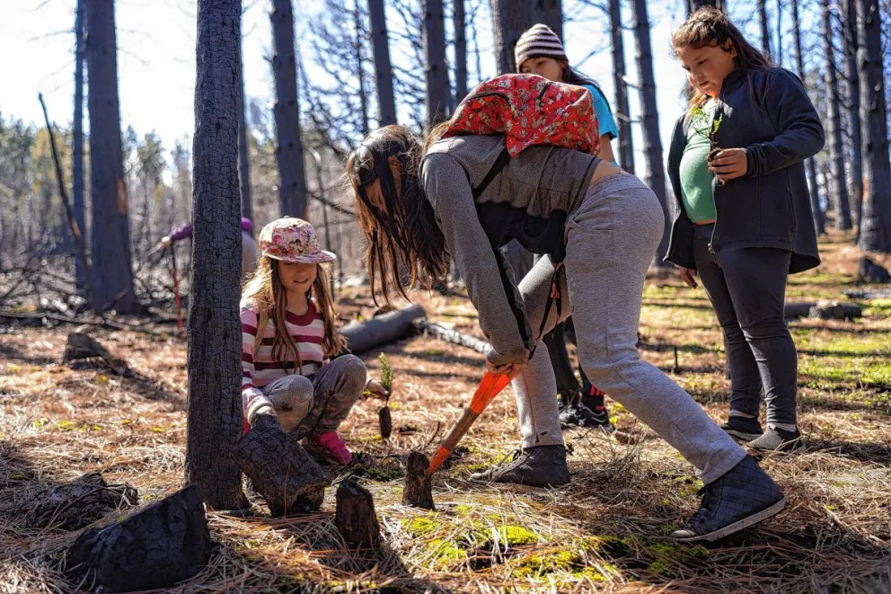 Realizaron una jornada de reforestación en áreas de Cholila afectadas por incendios 
