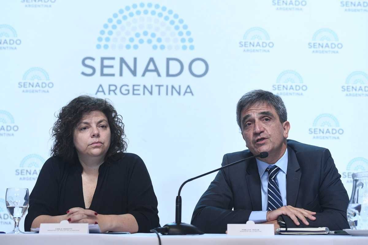 Impulsan proyecto para darle carácter de ley al Programa Remediar