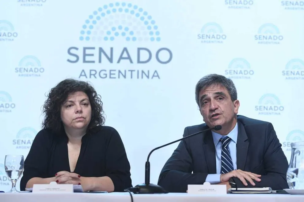 Impulsan proyecto para darle carácter de ley al Programa Remediar