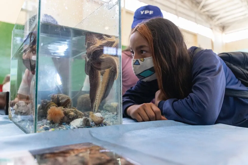El Municipio junto a la UNPSJB realizarán la jornada recreativa “La Playa en tu Barrio”