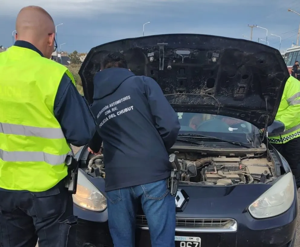 En un control detectaron que tenía una cédula de identificación automotor falsa
