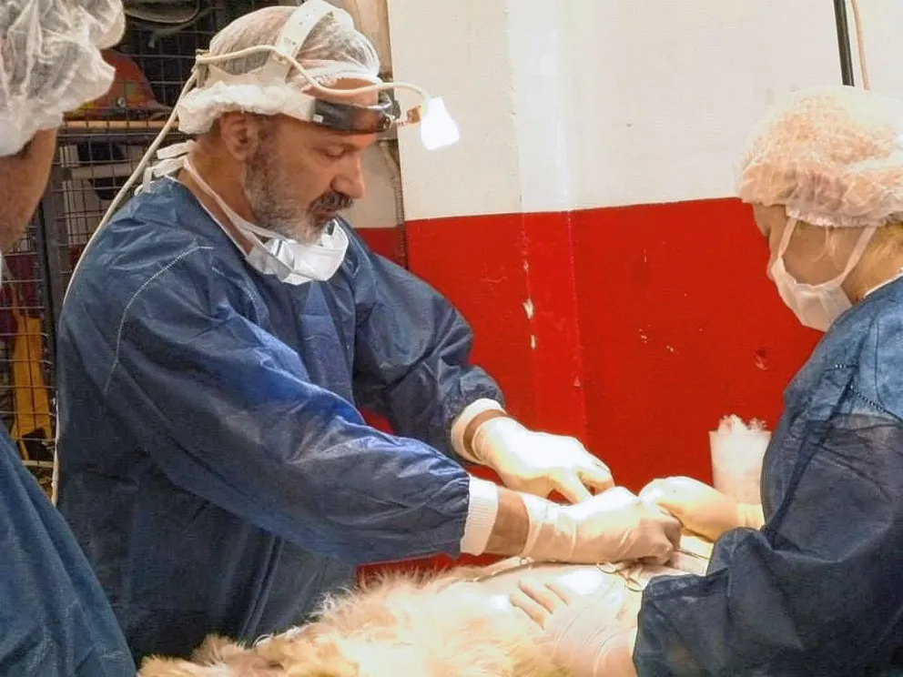 Mención honorífica “Cerro Chenque” para Jorge Ferruz