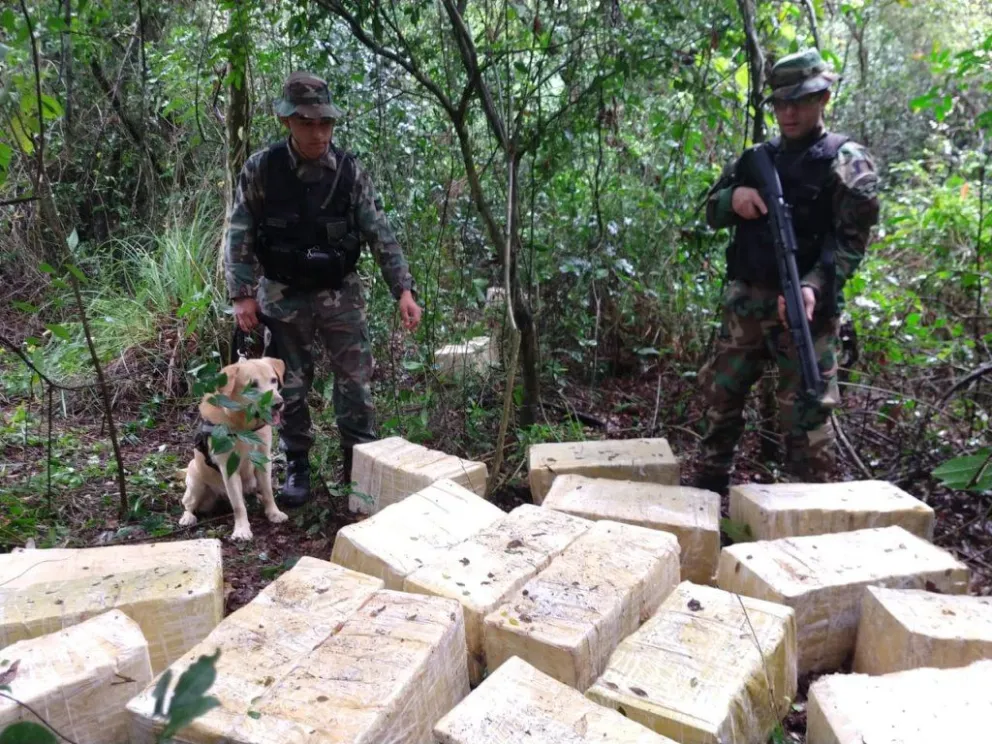 Misiones: secuestraron más de 730 kilos de marihuana valuados en más de $110 millones