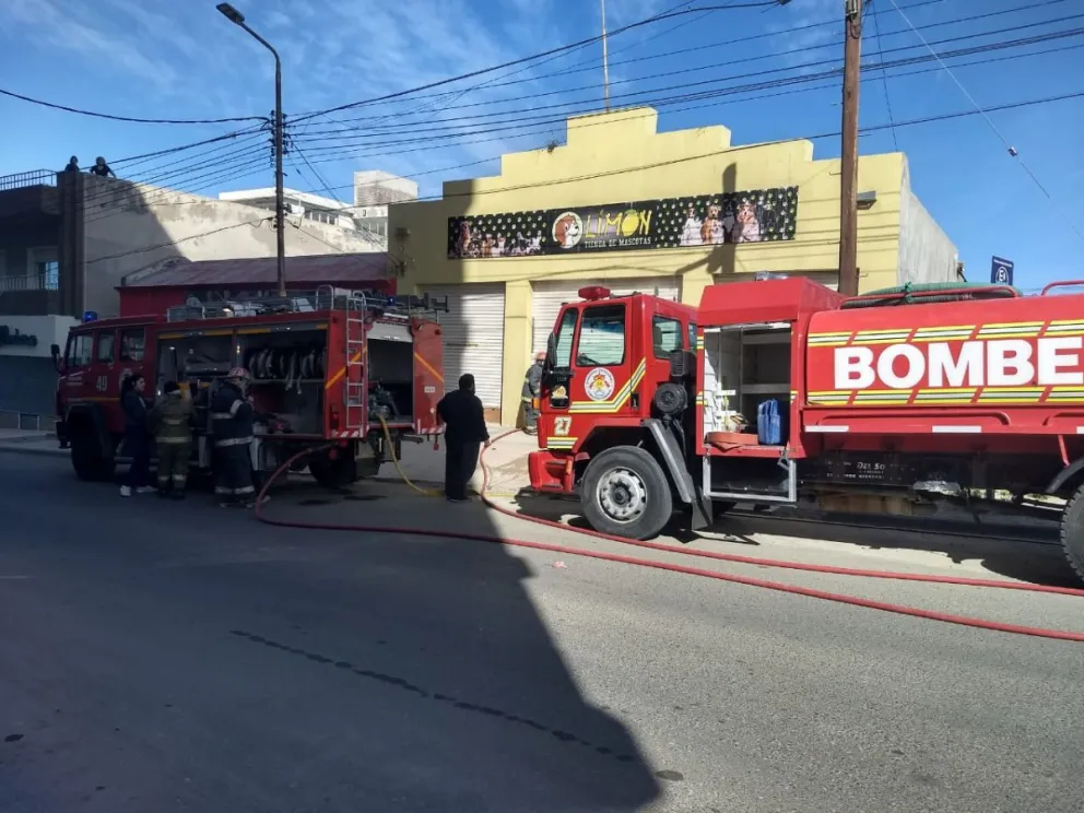 Incendio en una tienda de mascotas de Kilómetro 3