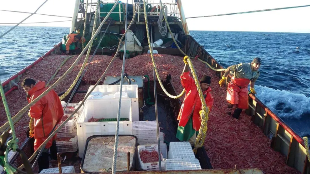 Chubut expone su producción pesquera en uno de los eventos más importantes de la industria a nivel mundial