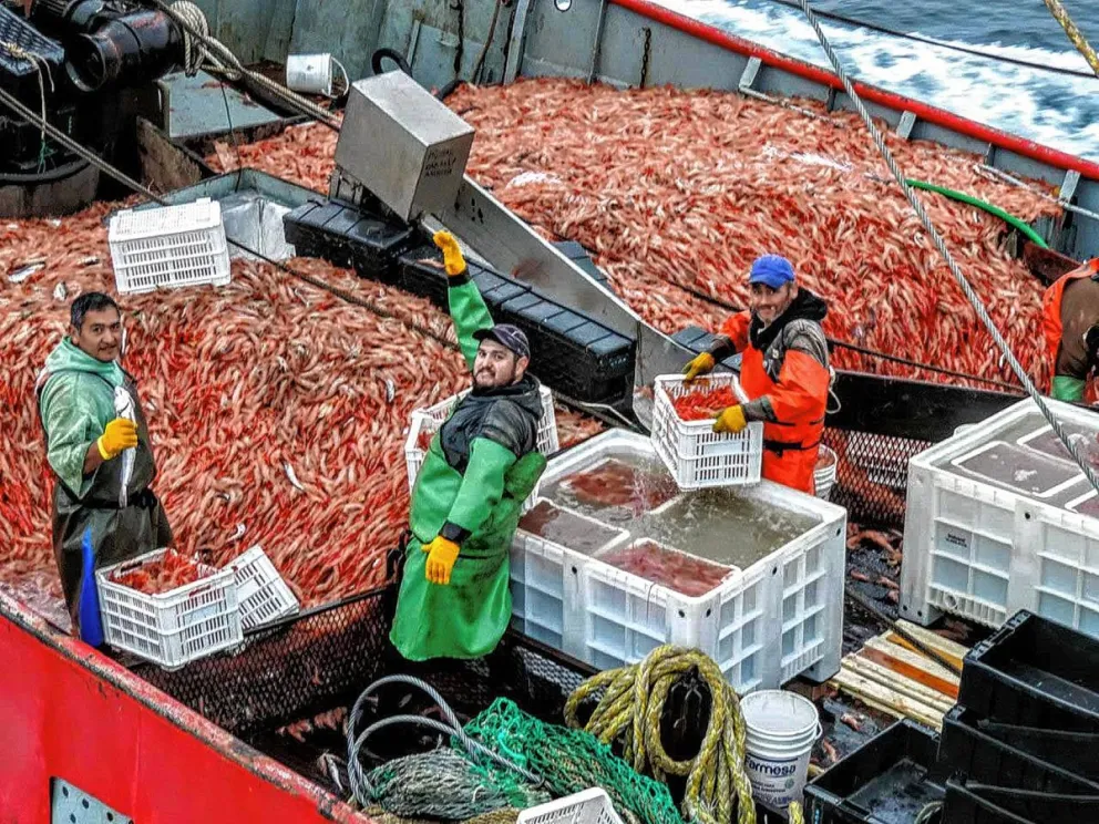 Santa Cruz renovó su compromiso de no pescar langostino en el golfo San Jorge