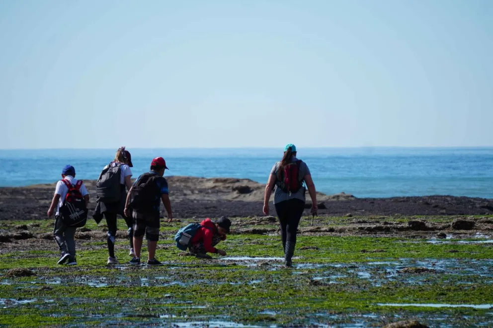 Turismo Rada Tilly promueve actividades para conocer la costa y la flora nativa