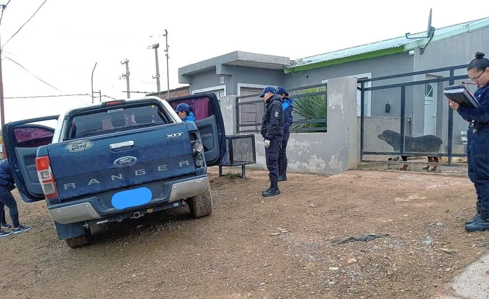 Tras una persecución varios sujetos agreden a un policía en Puerto Deseado