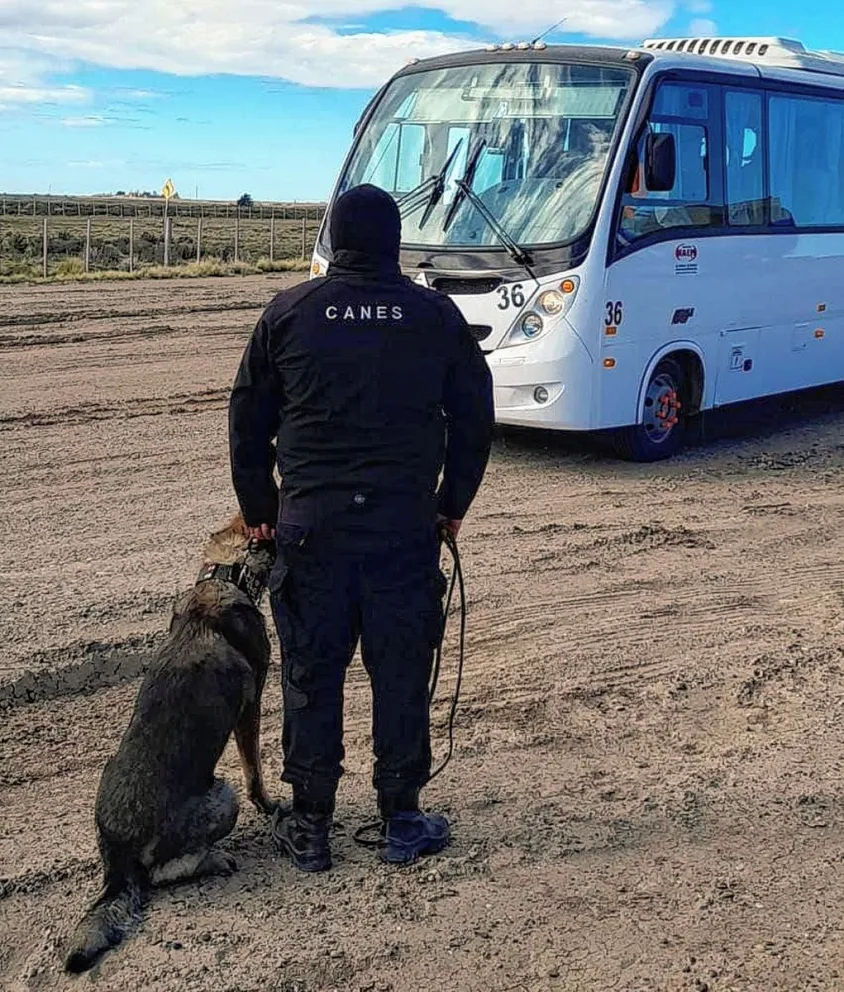 Realizan controles antinarcóticos en rutas cerca de Deseado