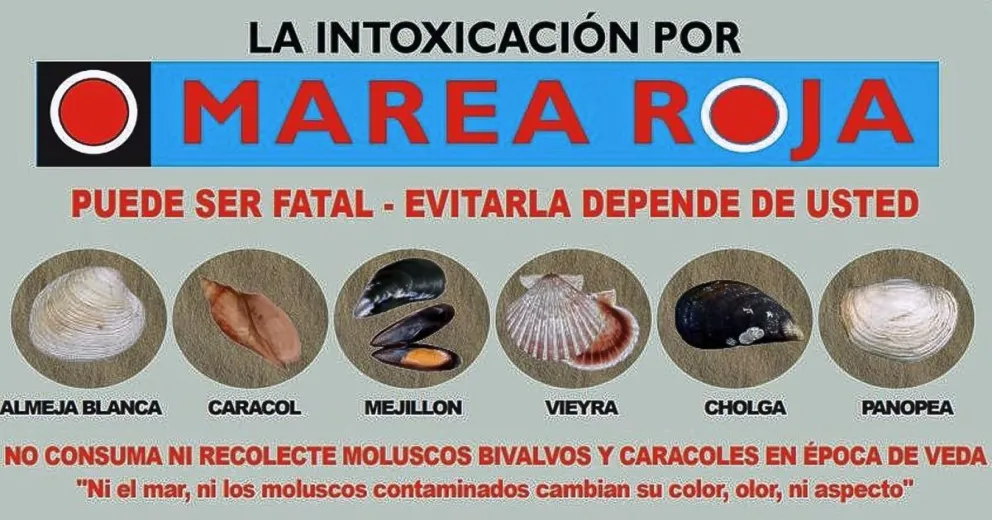 Históricos valores de toxicidad por Marea Roja en las costas chubutenses