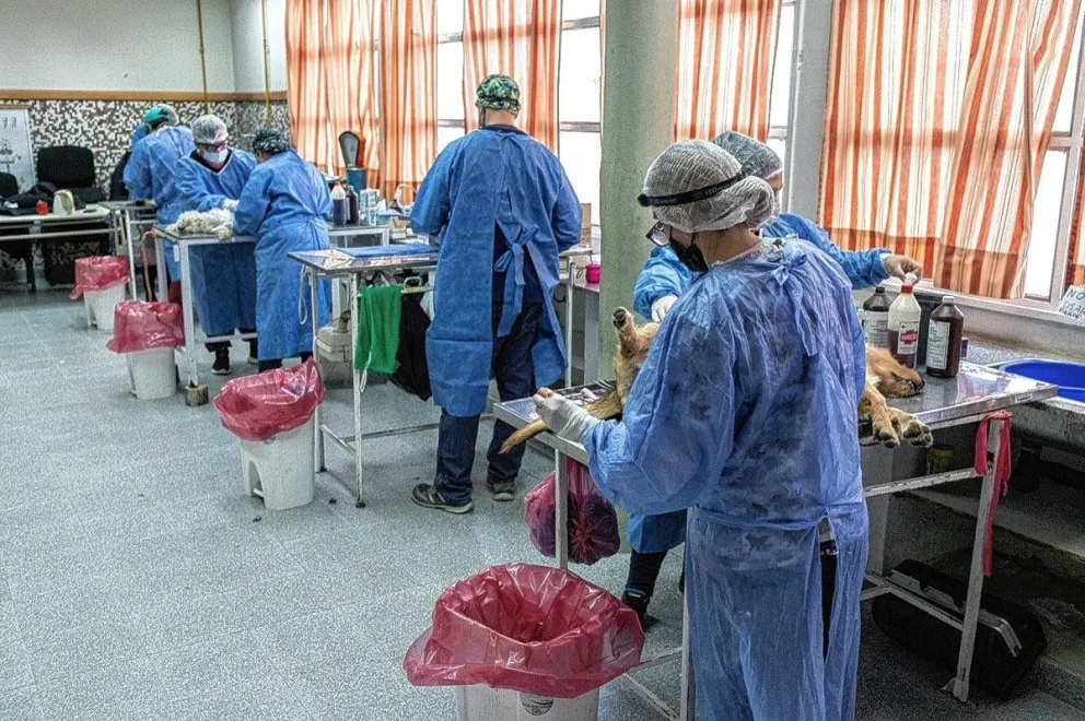 Dónde estarán los tráileres de castración esta semana