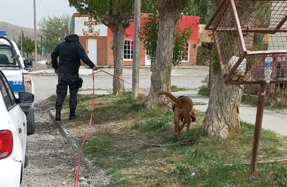 Río Mayo: Avanza la investigación por el homicidio Saúl Anticaneo