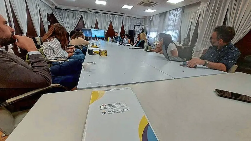 Chubut participó de un nuevo “Encuentro Regional para el Abordaje Integral de la Problemática del Suicidio”