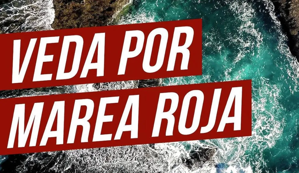 Rada Tilly recordó abstenerse a recolectar y consumir moluscos en la playa por veda 