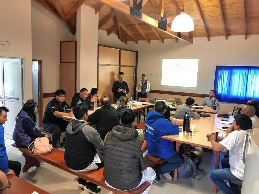 Provincia organizó una jornada de actualización de la industria frigorífica