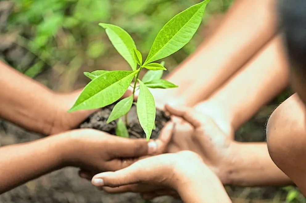 Encuentro de intercambio de plantas, semillas y saberes en Rada Tilly