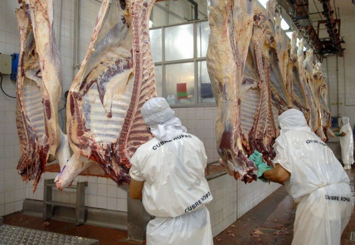 El Gobierno postergó la entrada en vigencia de la comercialización de carne por troceo