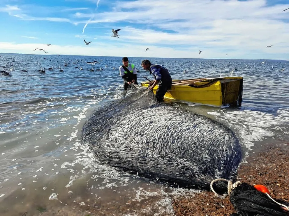 Reclamo por la pesca artesanal en el riacho de la Península Valdés