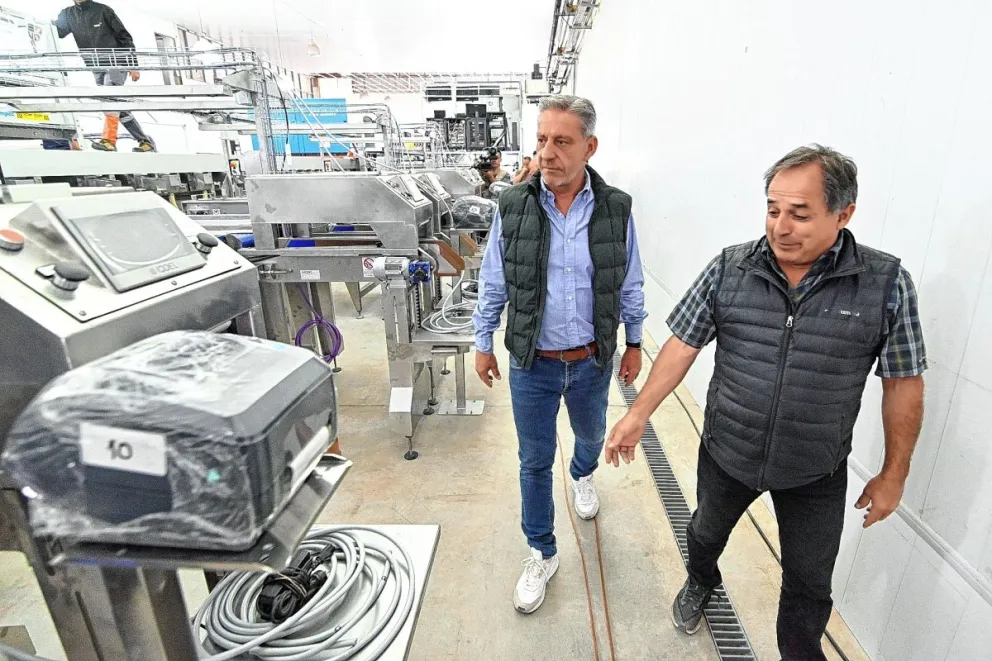 Chubut exporta cerezas a China, Estados Unidos y Europa, y ahora se agrega Brasil