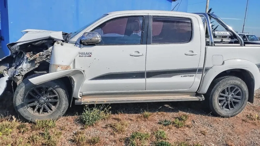 Se salvaron de milagro tras chocar con dos caballos en la ruta | Diario ...