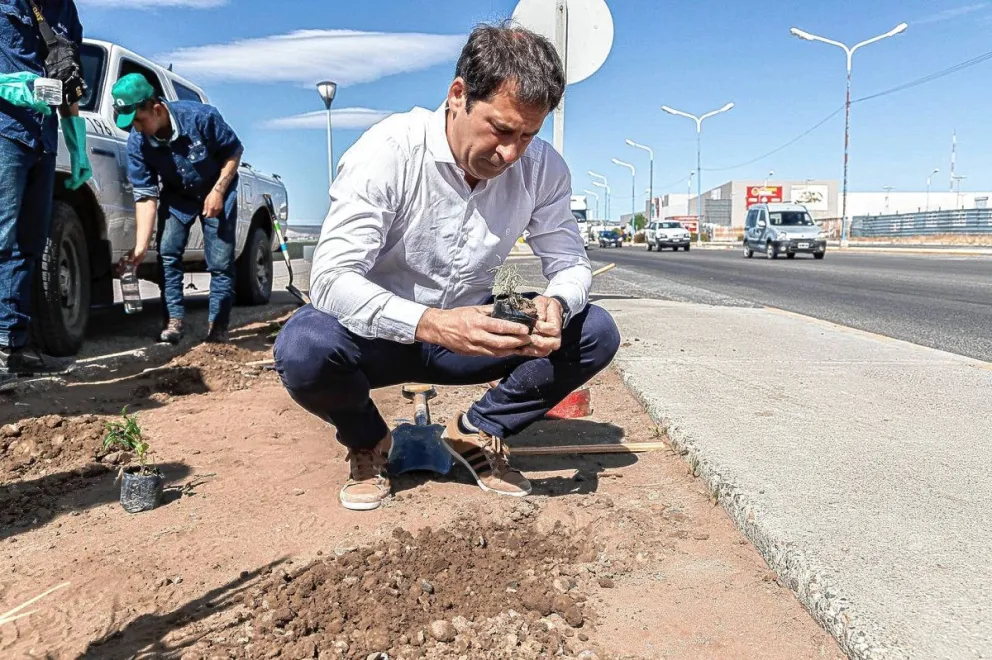 La Municipalidad e YPF Luz concretaron importante plantación de especies nativas