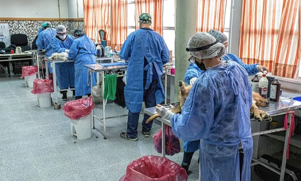 Dónde estarán los tráileres de castración esta semana