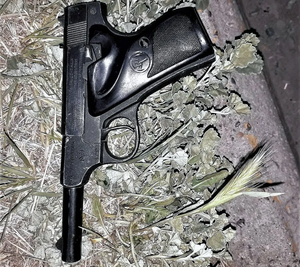Ex soldado del Ejército ayudado por su perro resiste asalto callejero y hace huir a los ladrones 