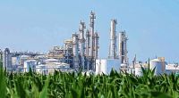 Energía aumentó el precio del bioetanol que se utiliza para la producción de naftas