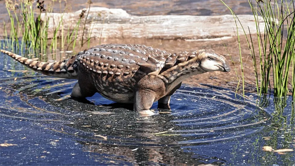 Revelan la existencia de un nuevo dinosaurio que vivió en la Patagonia hace 70 millones de años