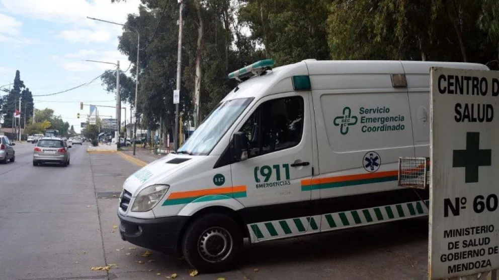 Tragedia en Mendoza: un auto embistió a dos caballos en la ruta y murió una mujer
