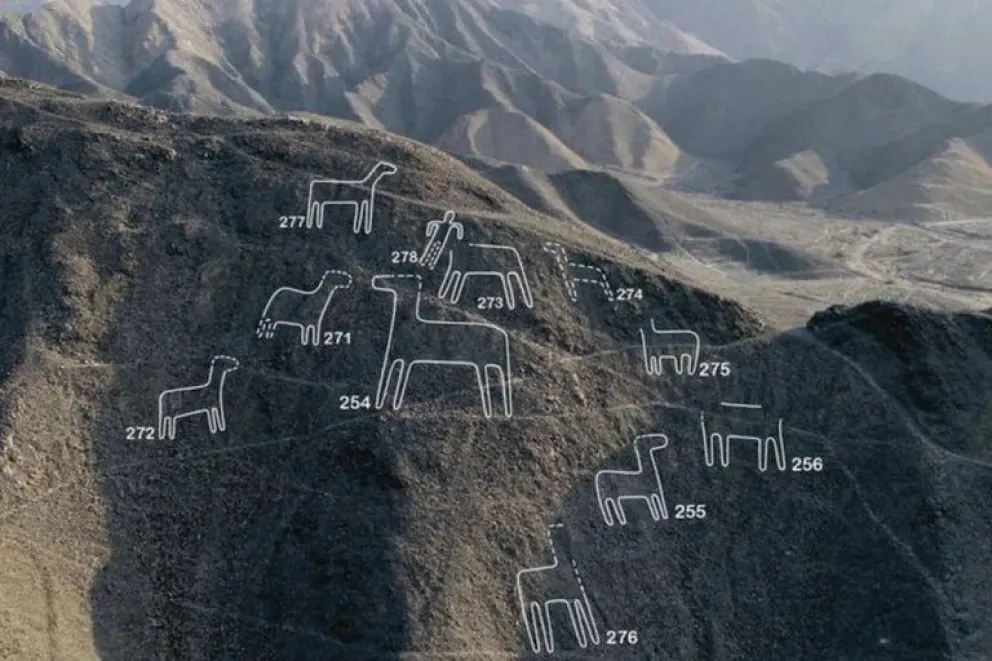 Descubrieron 168 nuevas figuras de más de 10 metros junto a las Líneas de Nazca