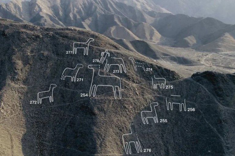 Descubrieron 168 nuevas figuras de más de 10 metros junto a las Líneas de Nazca
