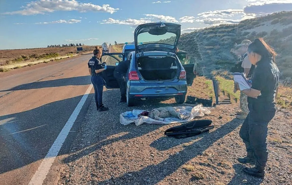 Demoraron a sujeto que llevaba un  arma de fuego y un cordero robado