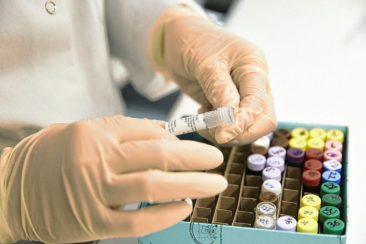 La vacuna argentina contra la COVID-19 recibe financiamiento para el tramo final de su investigación clínica