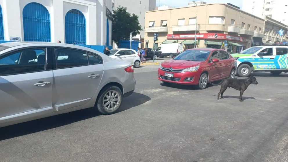 Una mujer fue derivada al hospital luego de un choque en el centro de la ciudad