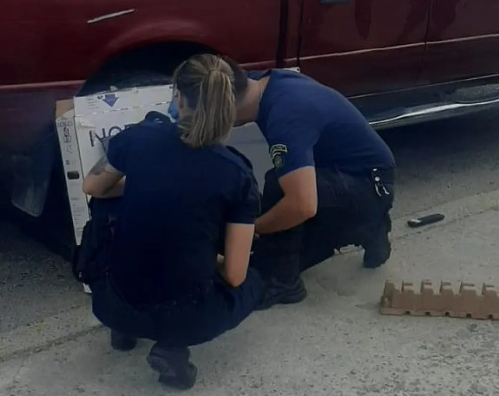 Tres delincuentes fueron detenidos tras un robo domiciliario en barrio Pietrobelli