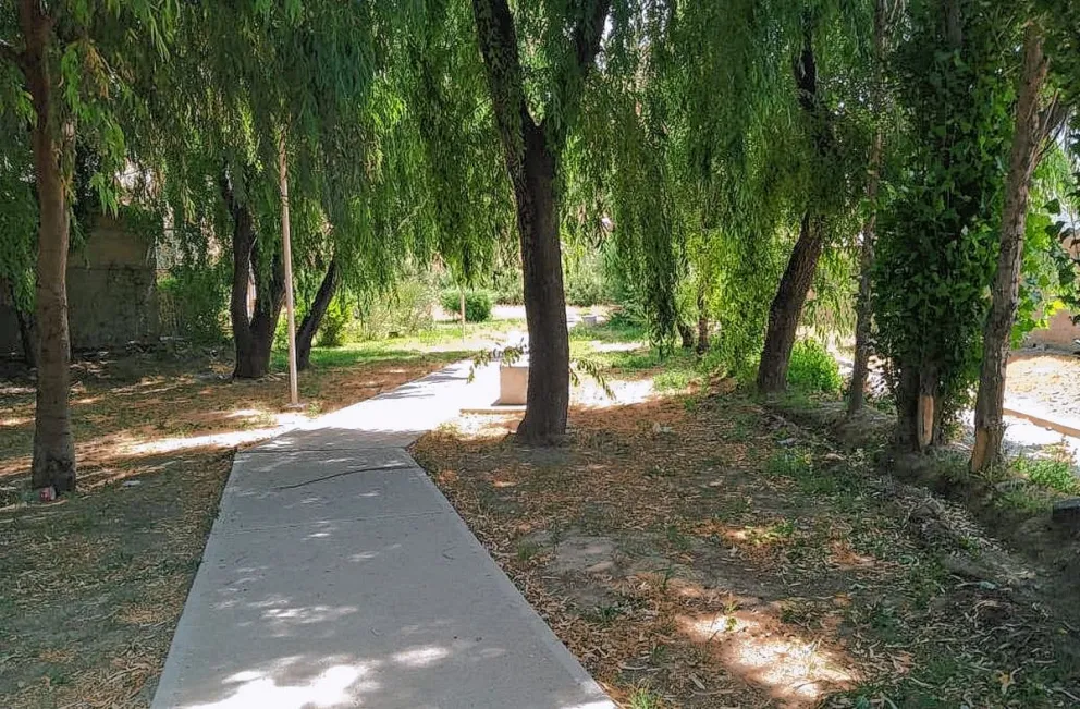 El barrio Divina Providencia tendrá su primera feria y paseo familiar al aire libre 