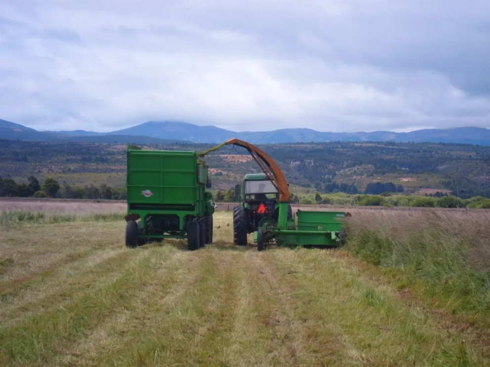 Continúan desarrollando el Programa Forrajero Chubut en busca del autoabastecimiento de los productores