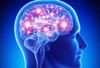 Cuidar la salud del cerebro: qué hábitos que debemos tener en cuenta