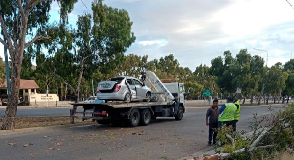  Chocó su auto contra un árbol y volcó: estaba alcoholizada