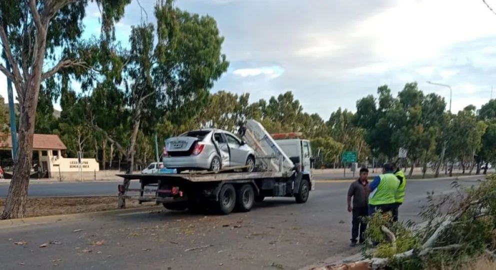  Chocó su auto contra un árbol y volcó: estaba alcoholizada