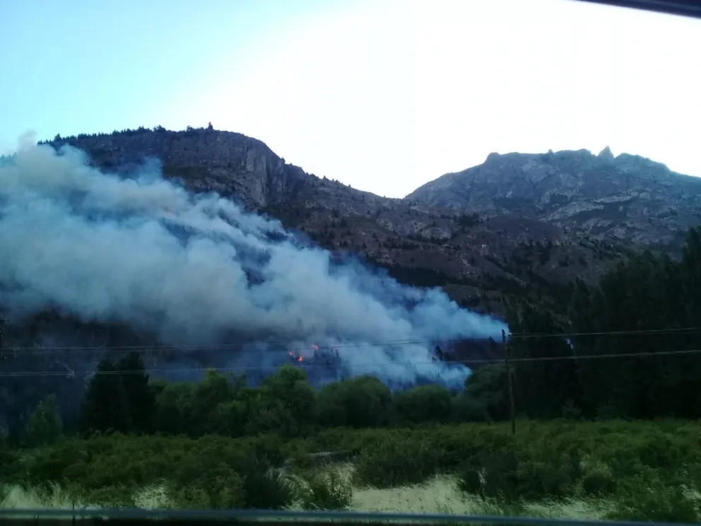 Más de 70 brigadistas continúan trabajando para controlar el incendio en El Pedregoso