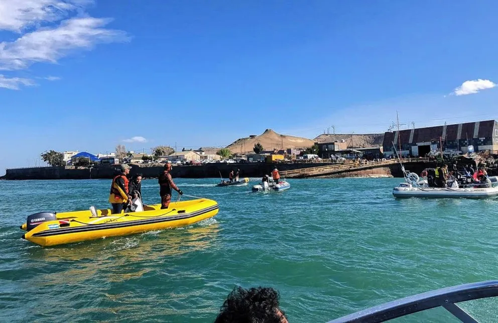 Turismo marino: En Comodoro y Rada Tilly podrán realizarse excursiones náuticas