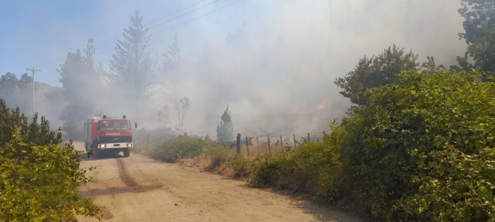 Se estableció un Comité de Emergencia por los incendios en la Comarca Andina